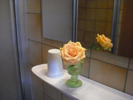 Hotel Landgasthof Wallburg Eltmann Luaran gambar